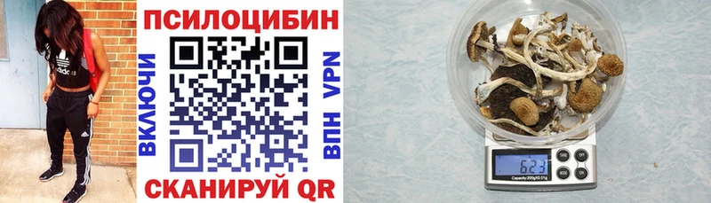 Псилоцибиновые грибы мухоморы  Мещовск 