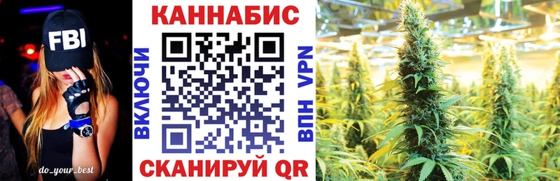 как найти закладки  Мещовск  Бошки марихуана сатива 